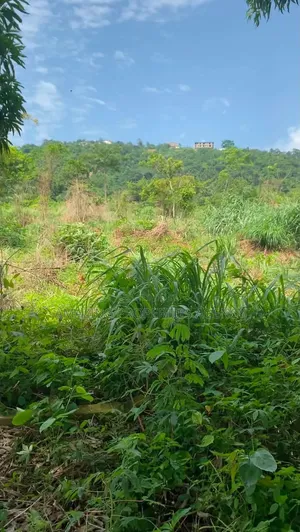 A. 50 Acres Prime in Legon
• Minutes From University of Ghana, Upsa