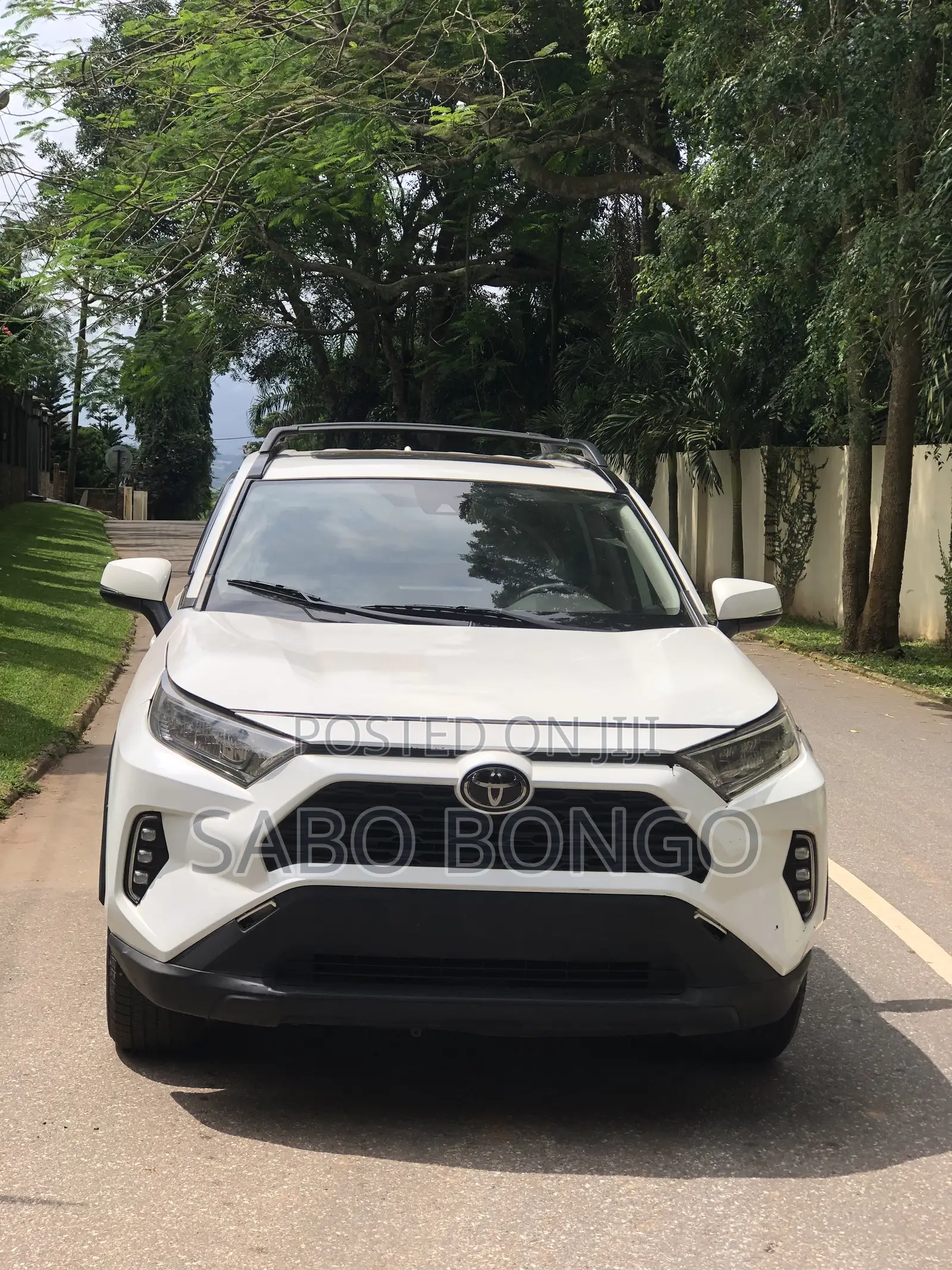 Toyota RAV4 XLE Premium AWD 2020 White