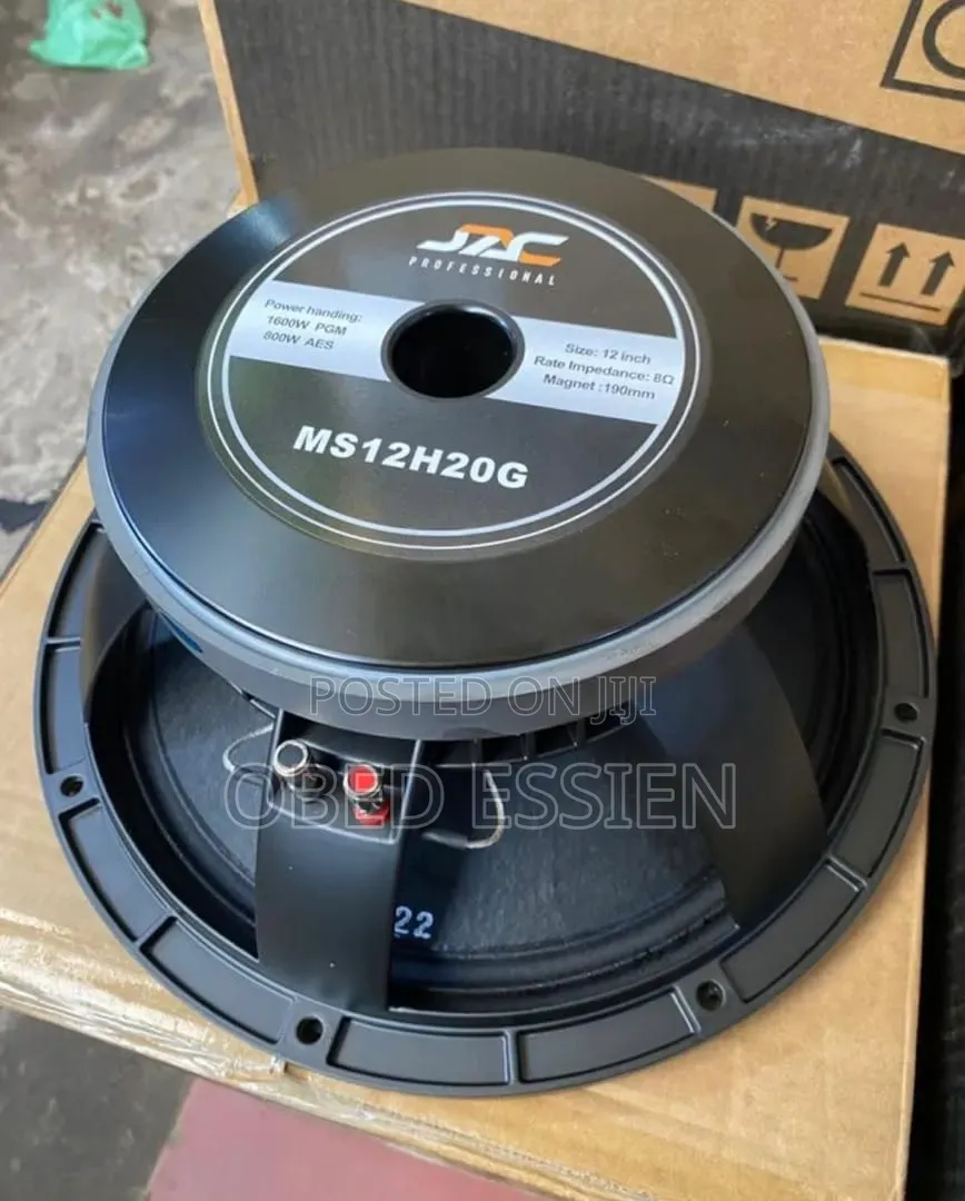Jac Raw Speaker
