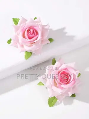 Ladies Earrings