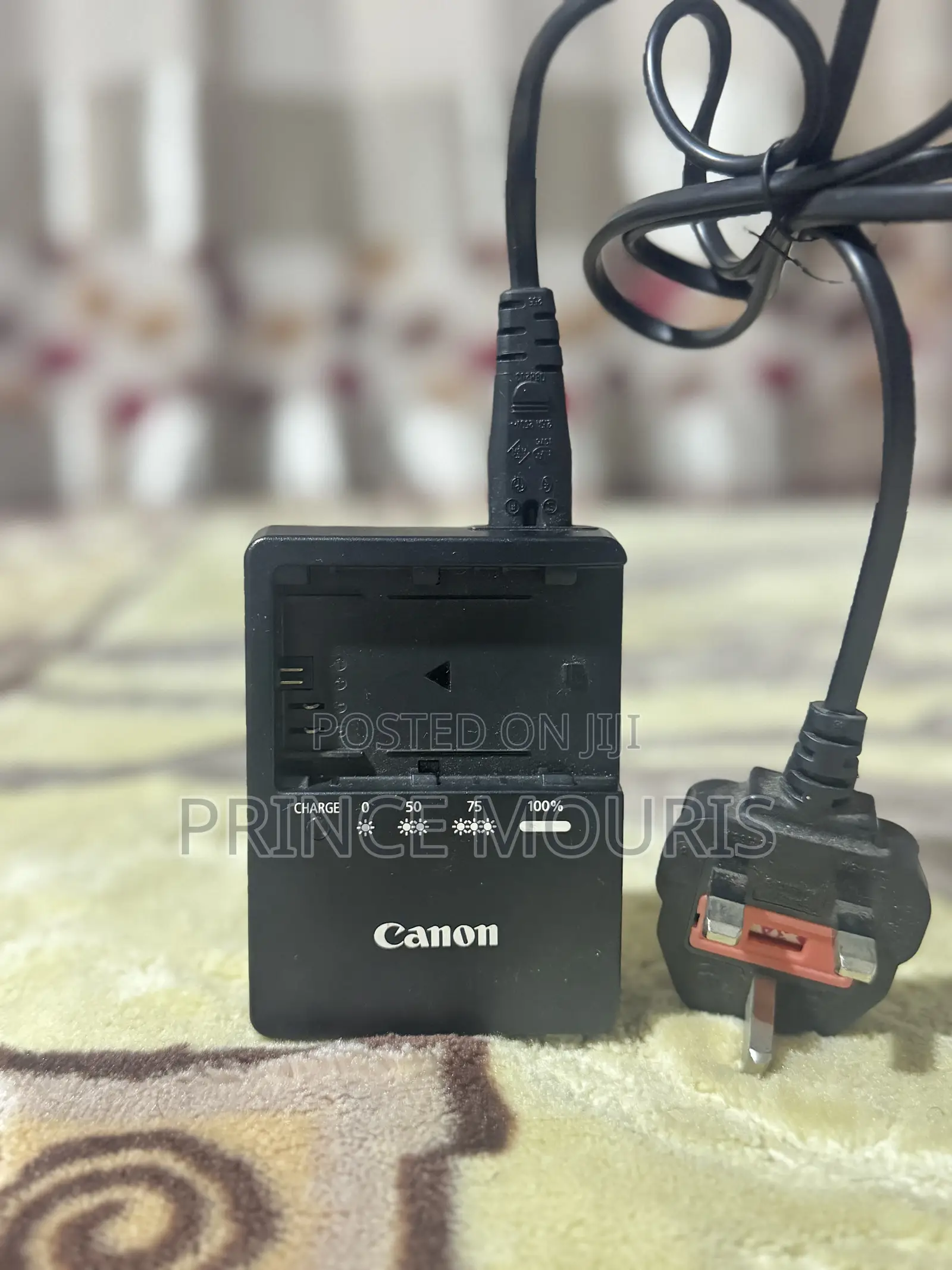 Lc-E6e Lp-E6p Lp-E6nh Battery Charger for Canon Cameras
