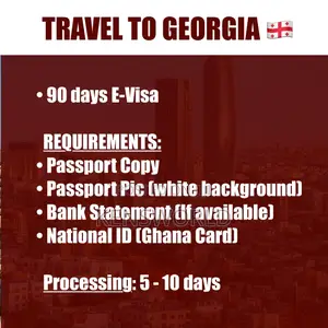 E Visa to Georgia