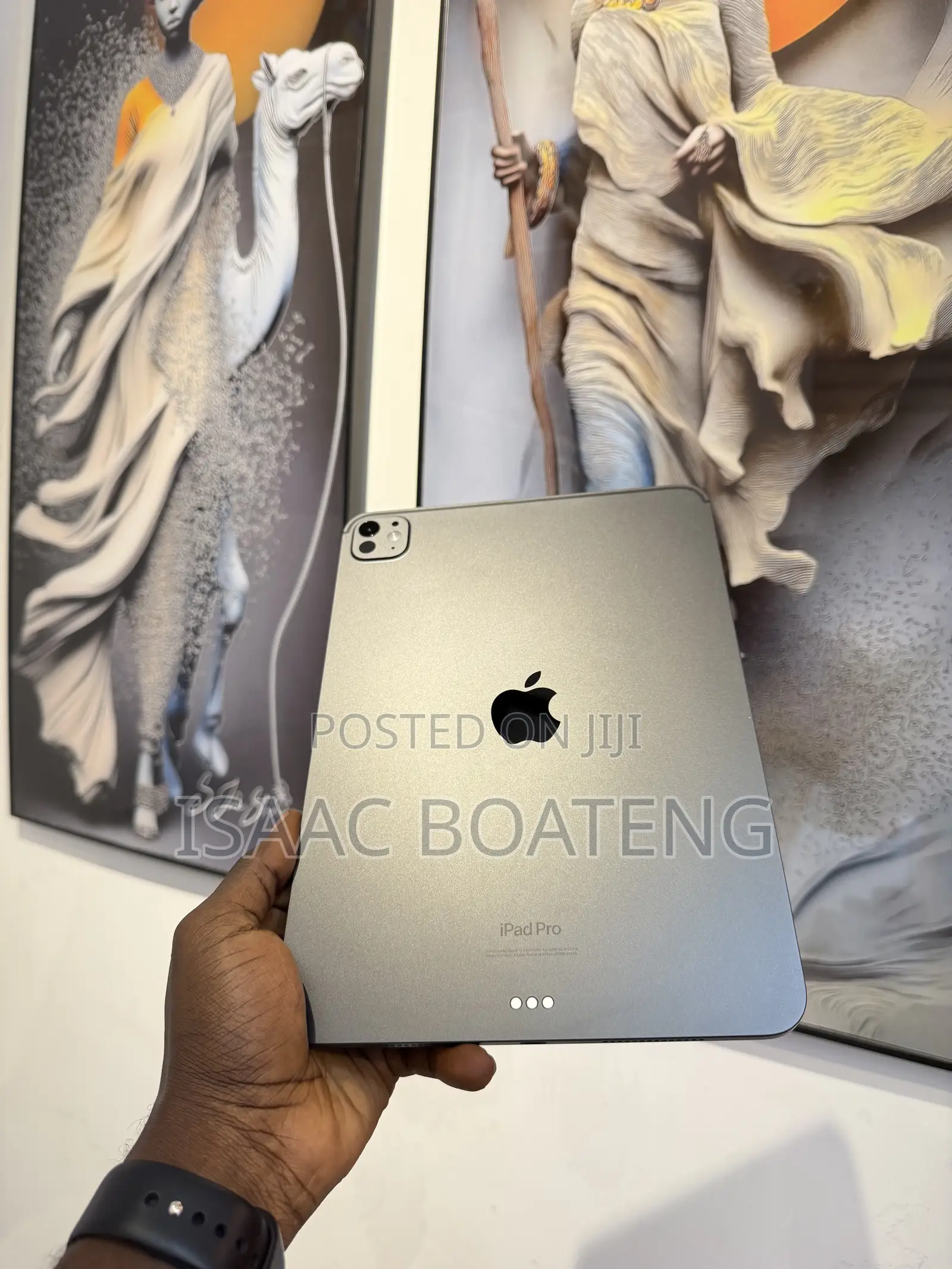 Apple iPad Pro 11 (2024) 256 GB Gray