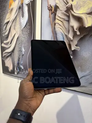 Apple iPad Pro 11 (2024) 256 GB Gray
