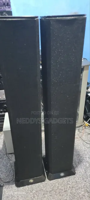 BNS Evolution Floorstanding Speakers