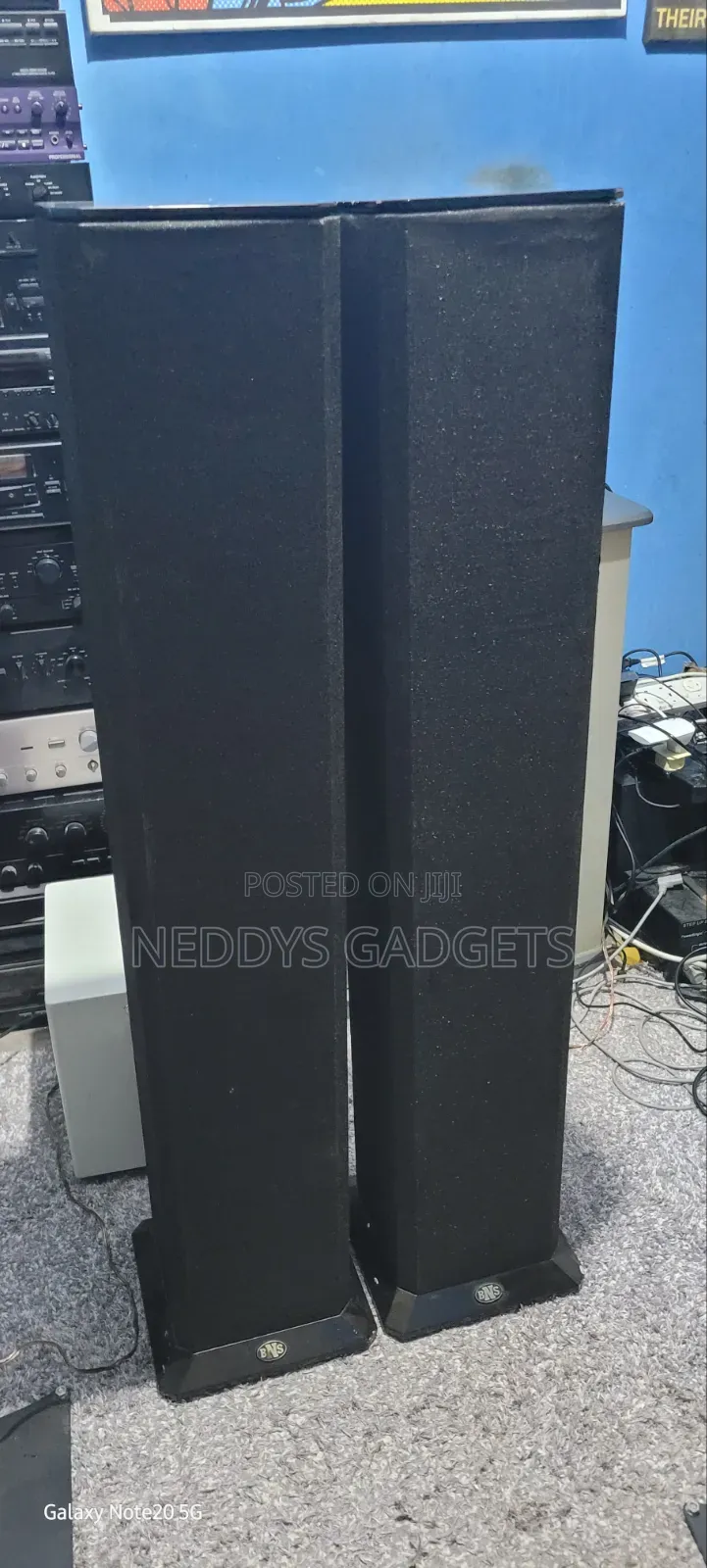 BNS Evolution Floorstanding Speakers