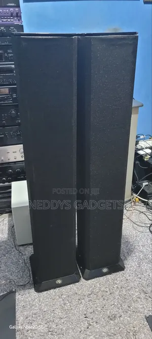 BNS Evolution Floorstanding Speakers