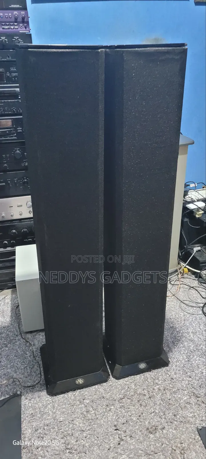 BNS Evolution Floorstanding Speakers