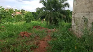 Plot at Tycco City Ring Rd,
