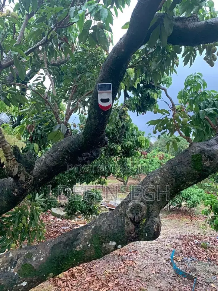 Motion Sensor Alarm