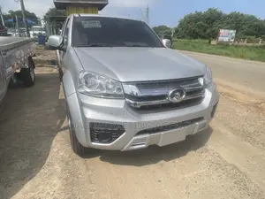 Great Wall Pao 2020 Silver