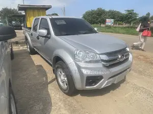 Great Wall Pao 2020 Silver