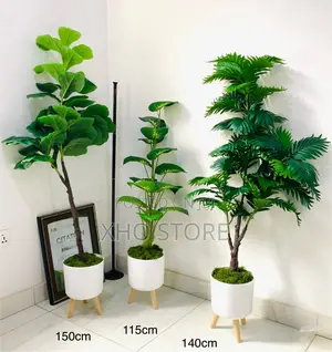 Flower Pot, Flowers and Potted Plant Curated for Modern Living Spaces