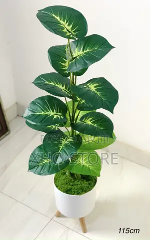 Flower Pot, Flowers and Potted Plant Curated for Modern Living Spaces