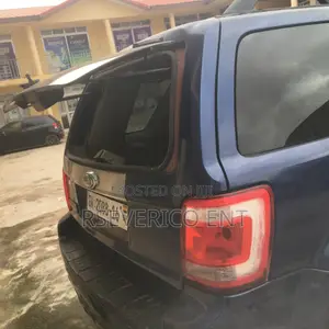 Ford Escape 2010 Blue