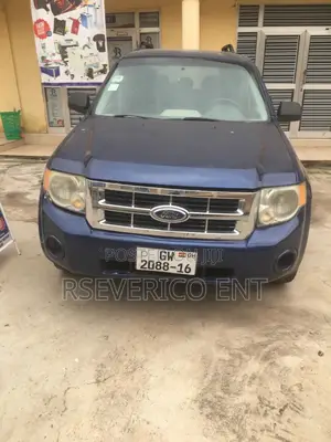 Ford Escape 2010 Blue