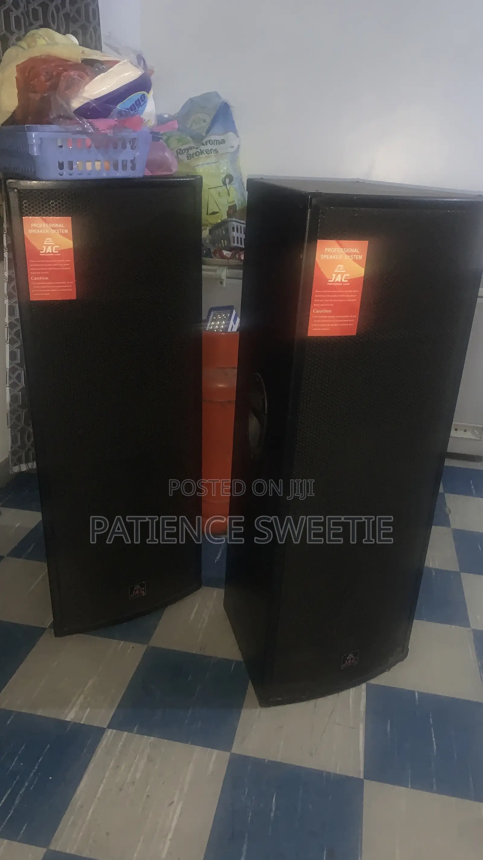 Professional Speakers System