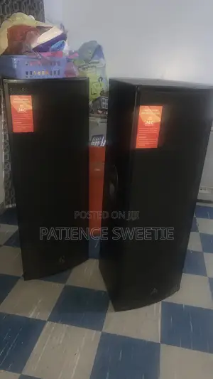 Professional Speakers System