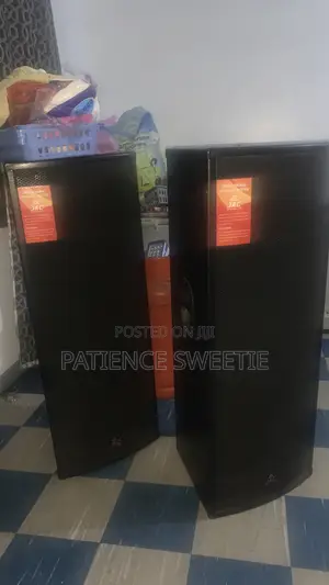 Professional Speakers System