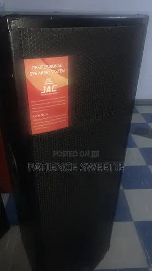 Professional Speakers System