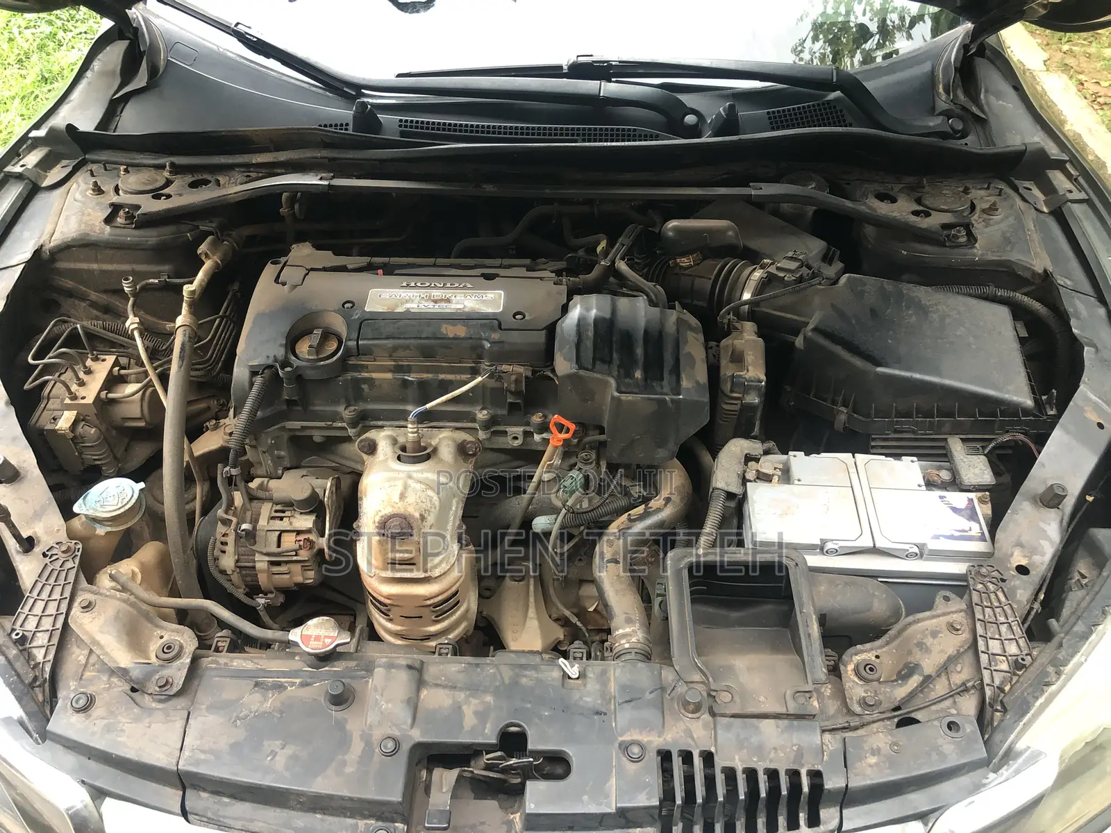Honda Accord Sport 4dr Sedan (2.4L 4cyl 6M) 2014 Green