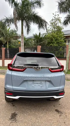Honda CR-V EX-L AWD 2019 Gray