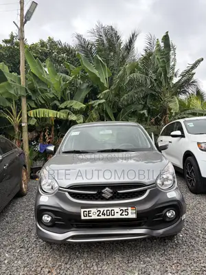 Suzuki Celerio 2024 Gray