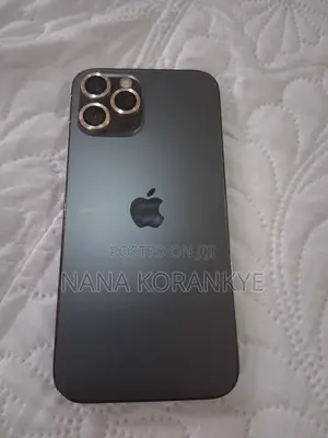 Apple iPhone 12 Pro Max 256 GB Black
