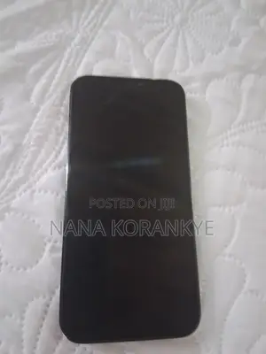 Apple iPhone 12 Pro Max 256 GB Black
