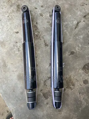 Dodge Ram 1500 Dt, 2020, 2021, 2022, 2023, 2024, 2025 Back Shocks