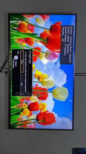 Panasonic Viera 55cx700 Series Smart Tv