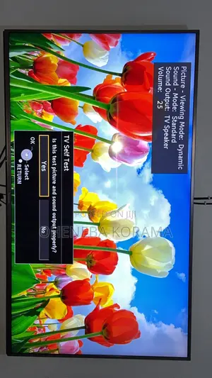 Panasonic Viera 55cx700 Series Smart Tv