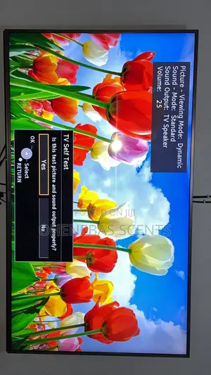 Panasonic Viera 55cx700 Series Smart Tv