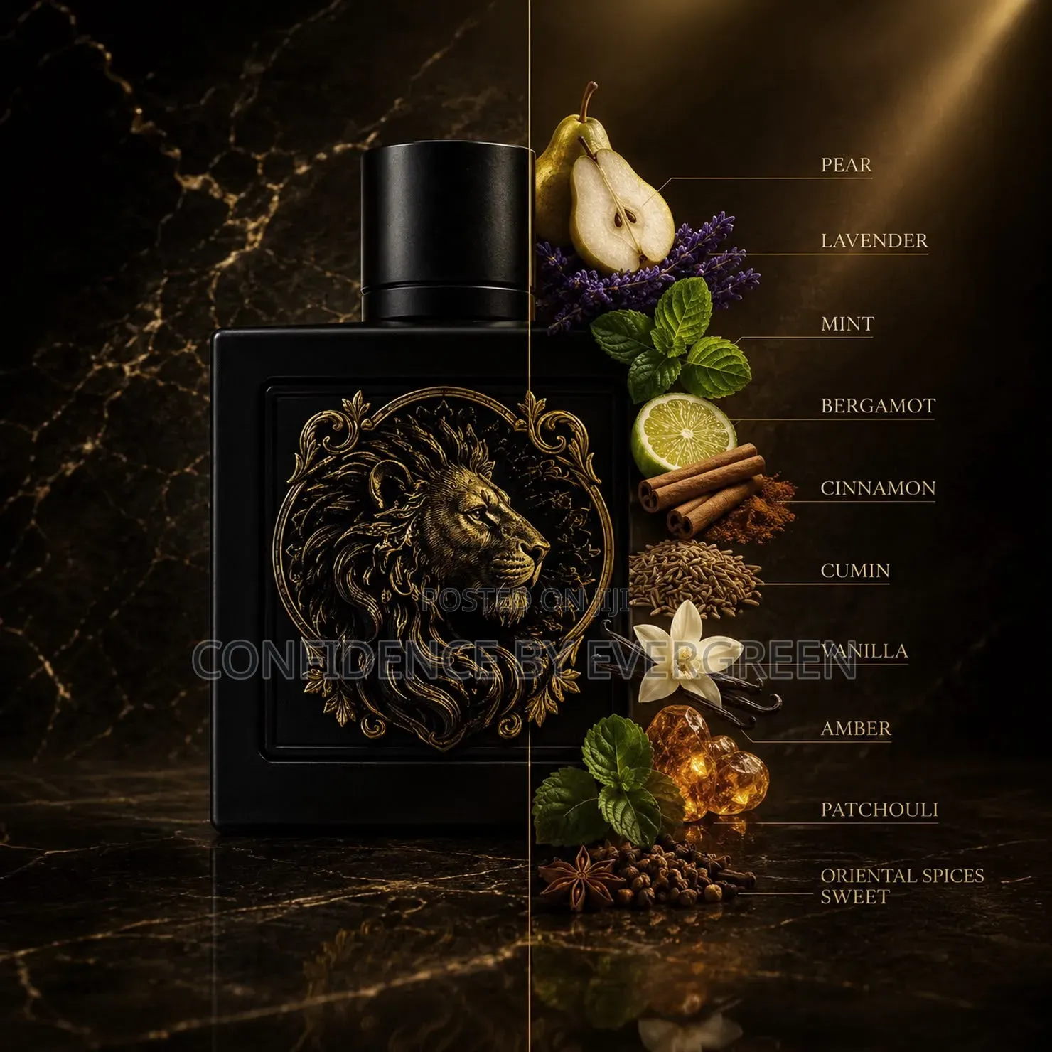 Rayhaan Lion