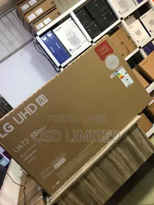 Smarter Viewing: Explore the Lg 55" Smart Hub