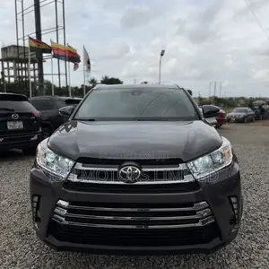 Toyota Highlander XLE 2019 Brown