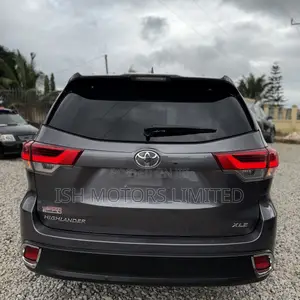 Toyota Highlander XLE 2019 Brown