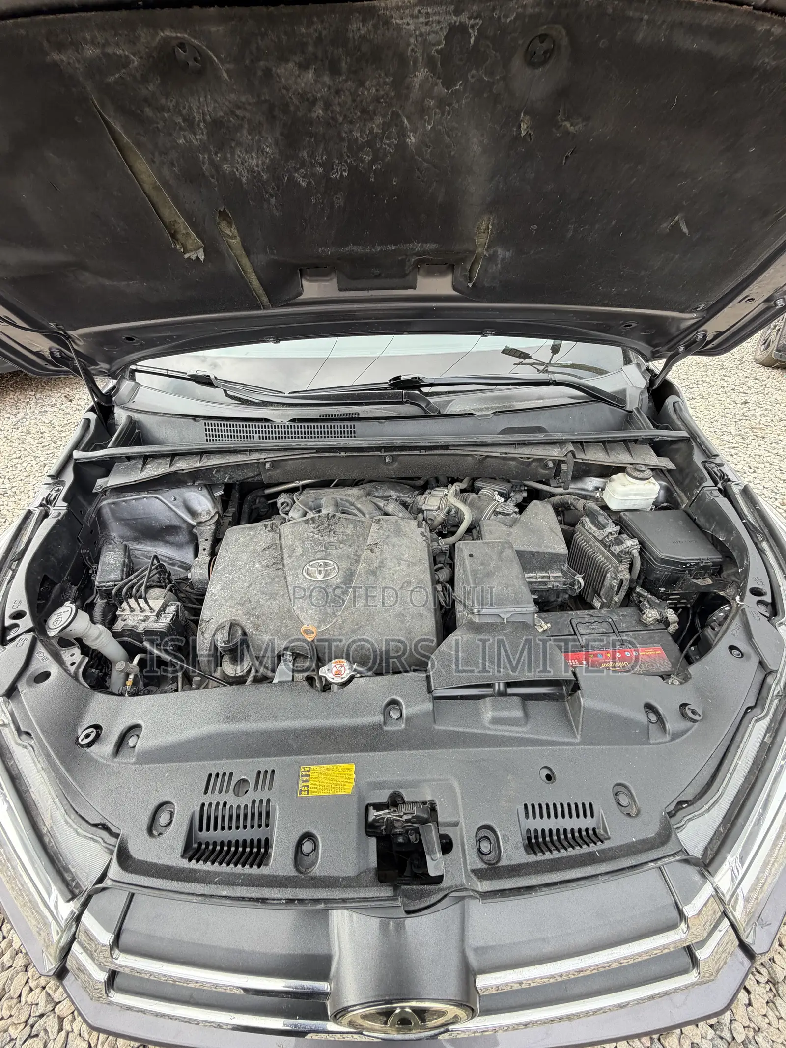 Toyota Highlander XLE 2019 Brown