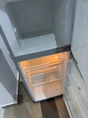 Standing Fridge