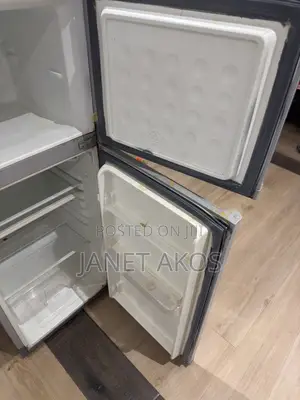Standing Fridge
