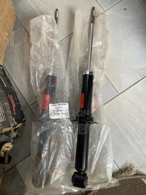 Dodge Journey 2010,2011,2012,13,2014,2015,2016,2017,2018 Back Shocks