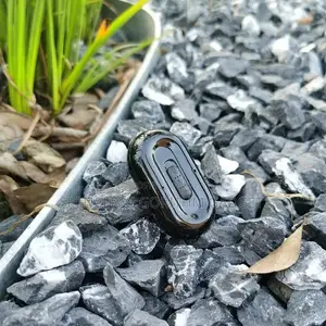 Magnetic Ornament Hd Voice Recorder After Charge