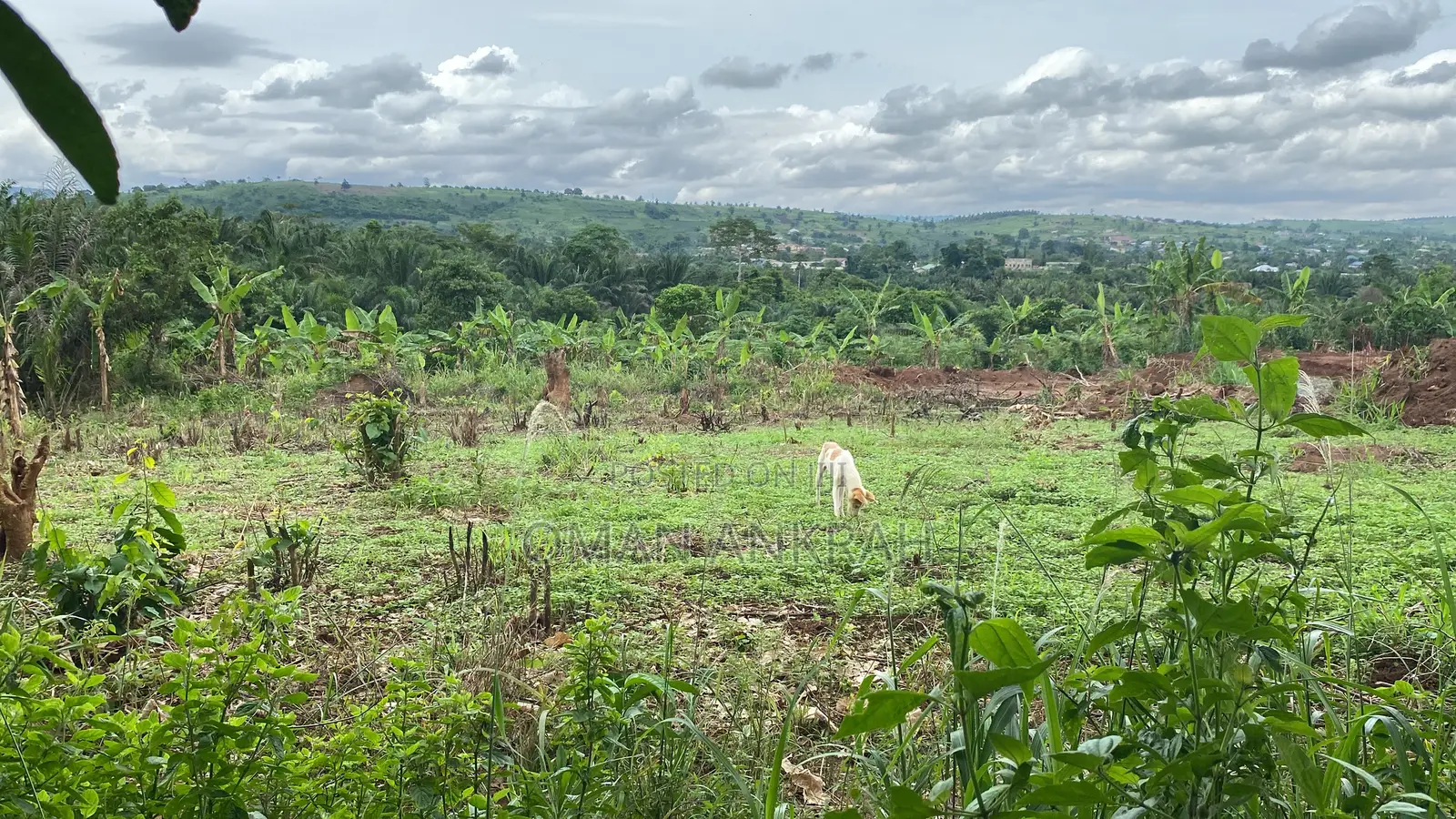 3plots Registered With All Necessary Documents
