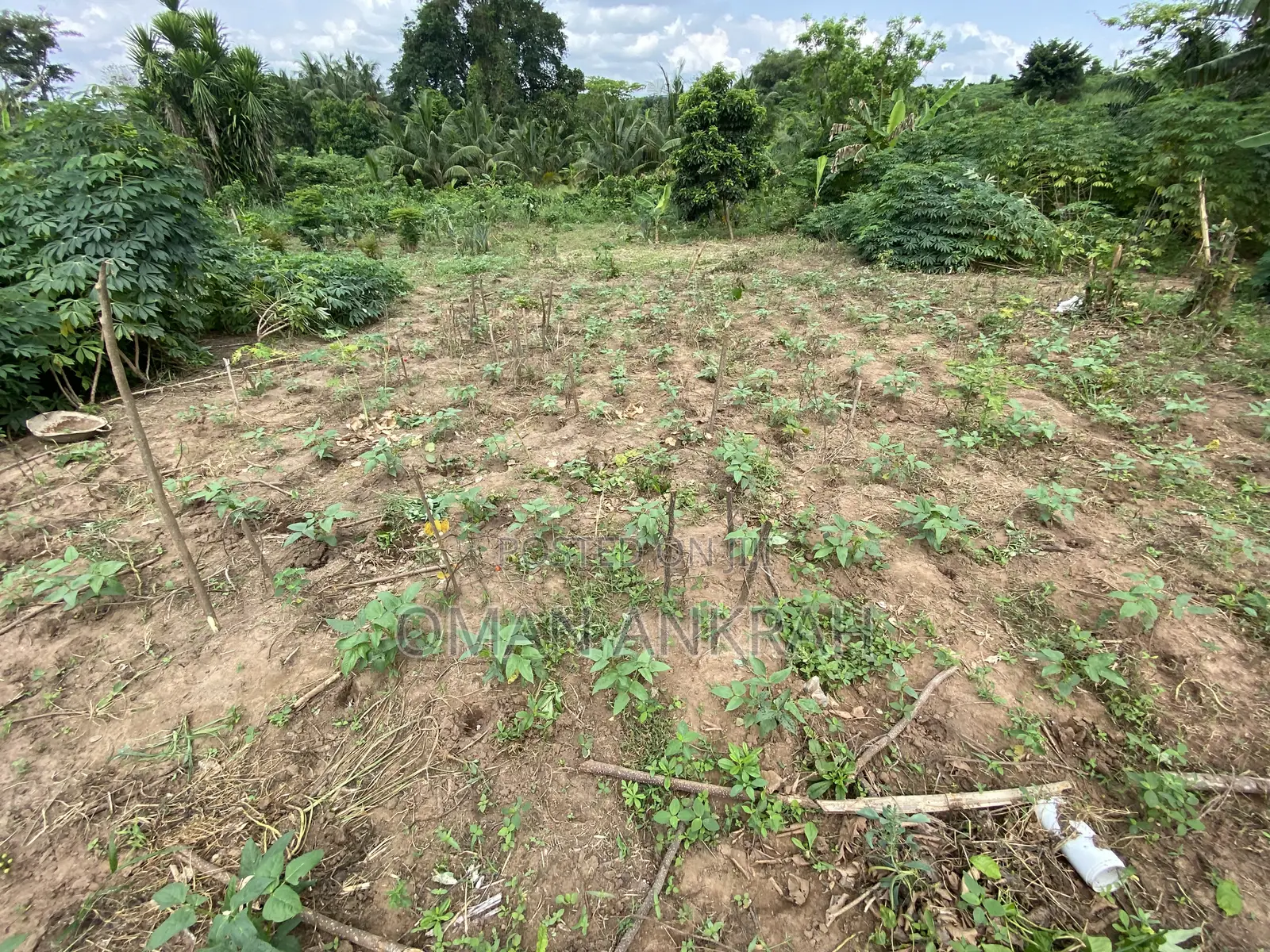 3plots Registered With All Necessary Documents
