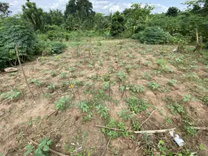 3plots Registered With All Necessary Documents