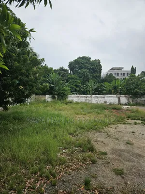 Two Plot of Land