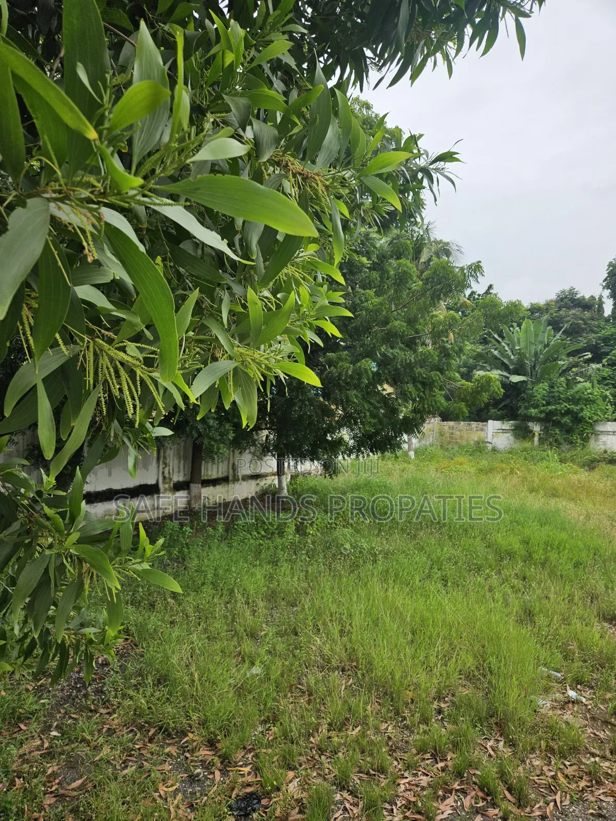 Two Plot of Land