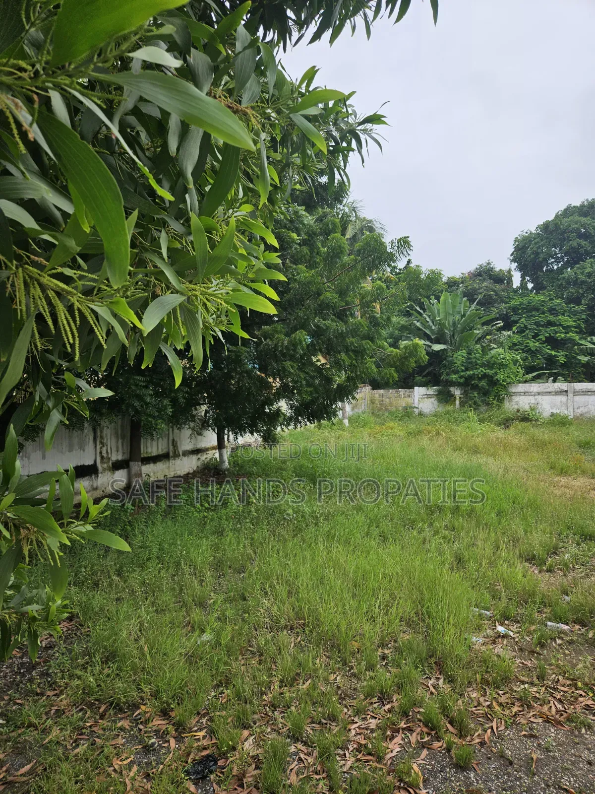Two Plot of Land