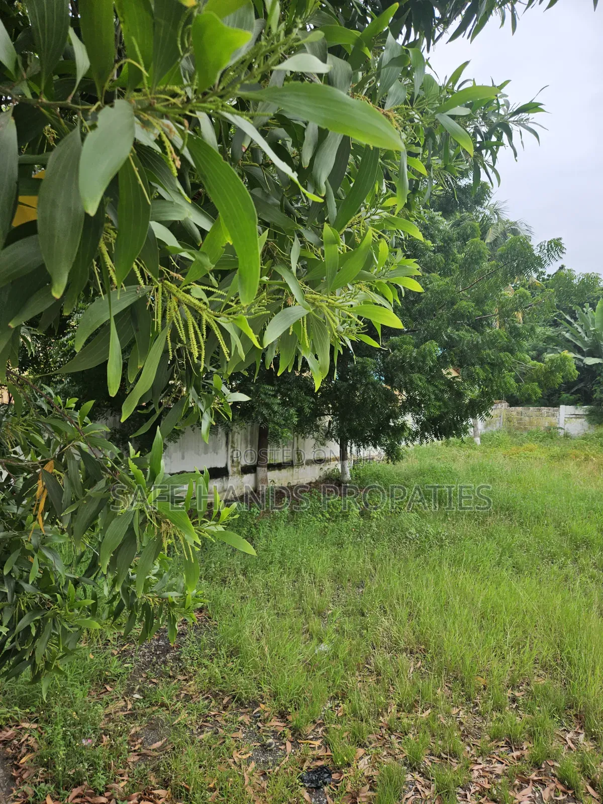 Two Plot of Land