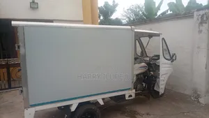 New Tricycle 2024 White